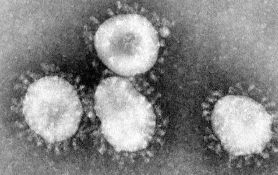 Coronavirus Information and FAQs